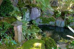Old Yasuda Garden with traditional Japanese landscaping in Sumida, Tokyo