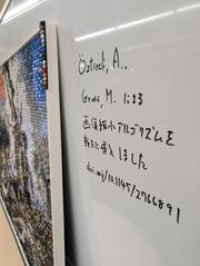 Perceptually based downscaling of images represented with Lego blocks at Tokyo University