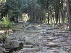 Nakasendo Highway scenic trail in Japan surrounded by lush greenery and mountainous terrain