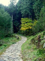 Scenic view of Nakasendo trail between Magome and Tsumago with traditional wooden houses and pathway