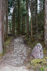 Scenic view of Nakasendo trail between Magome-juku and Tsumago-juku in Nagiso, Japan, surrounded by lush greenery and traditional wooden buildings