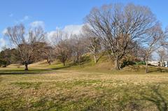 Tumulus mound of Tsudo Shiroyama Kofun