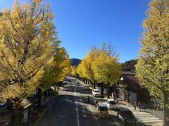 Kōshū Kaidō