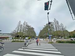 Tsurumi Ryokuchi Expo '90 Commemorative Park in April 2025 with lush greenery and pathways