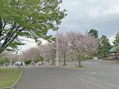 Tsurumi Ryokuchi Expo '90 Commemorative Park on April 14, 2025 with lush greenery and park facilities