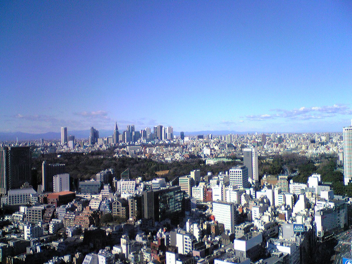 Tokyo cityscape with Tokyo Tower at sunset