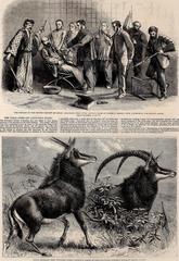 Cover page of The Illustrated London News from 1842