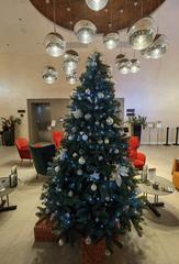 Budapest Teréz körút 62 T62 Hotel with Christmas tree at night