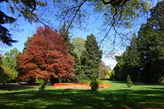 Archery lawn with targets and greenery in Christchurch Botanic Gardens, New Zealand