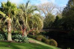 Lush green pathways and vibrant plants in Christchurch Botanic Gardens, New Zealand