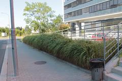 Masaryk University campus buildings with modern architecture and green surroundings