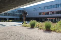 Masaryk University Campus buildings with green lawns and trees