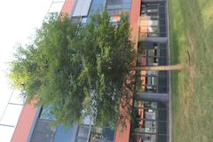 Masaryk University Campus modern buildings with greenery