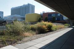 View of Masaryk University Campus with modern buildings and greenery