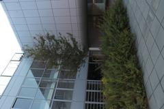 Masaryk University Campus with modern academic buildings and green surroundings