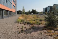 Masaryk University Campus with modern academic buildings and green spaces