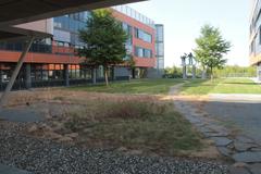 Masaryk University Campus buildings with clear blue sky