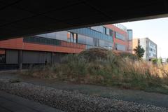 Masaryk University Campus
