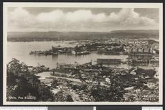 Panoramic view of Bjørvika and Sjursøya in Oslo from Ekeberg with urban buildings and harbor