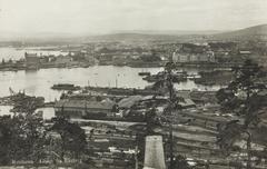 View of Bjørvika and Sjursøya in Oslo from Ekeberg