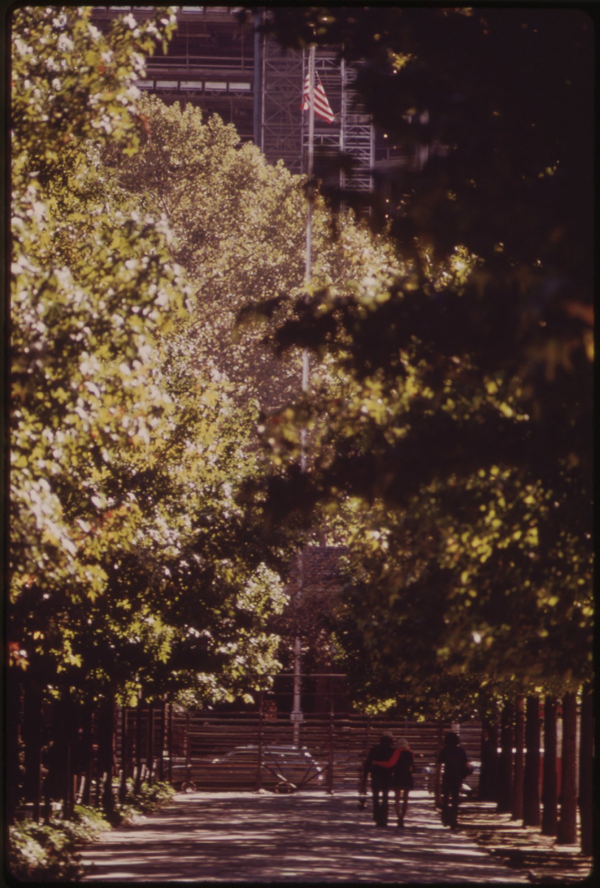 People walking and relaxing in a city park with trees and benches