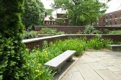 Bench surrounded by plants with yellow flowers and rosebushes in a rose garden