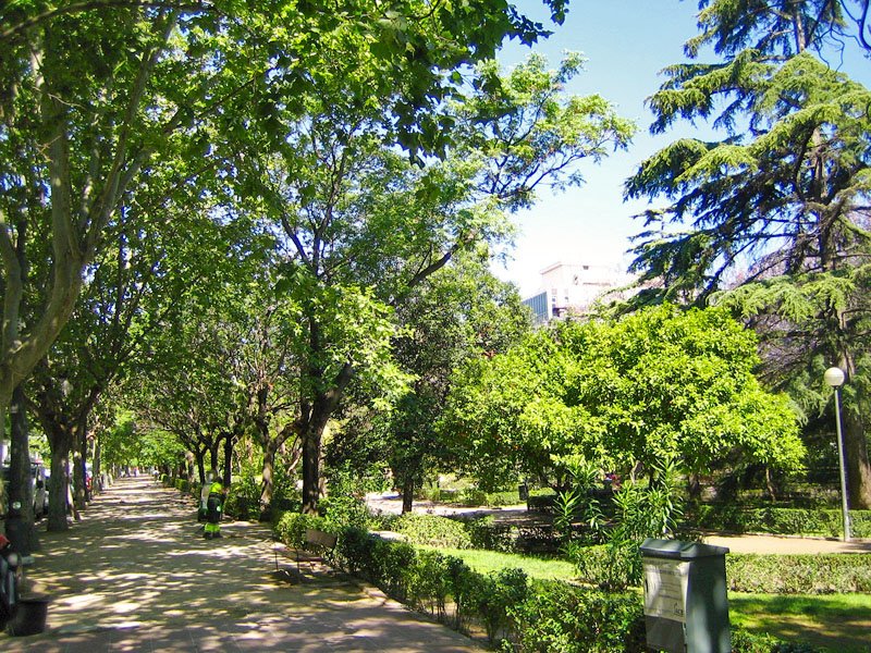 Avinguda de Blasco Ibáñez street in València with buildings and trees