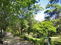 Avinguda de Blasco Ibáñez street in València with buildings and trees