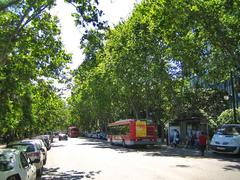 Avinguda de Blasco Ibáñez street in València with urban buildings and trees