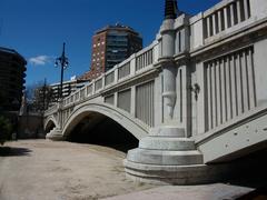 |
  Pont D'Aragó