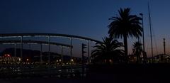 Rambla de Mar in Barcelona at dusk with Montjuïc hill on the left and the Columbus Monument on the right