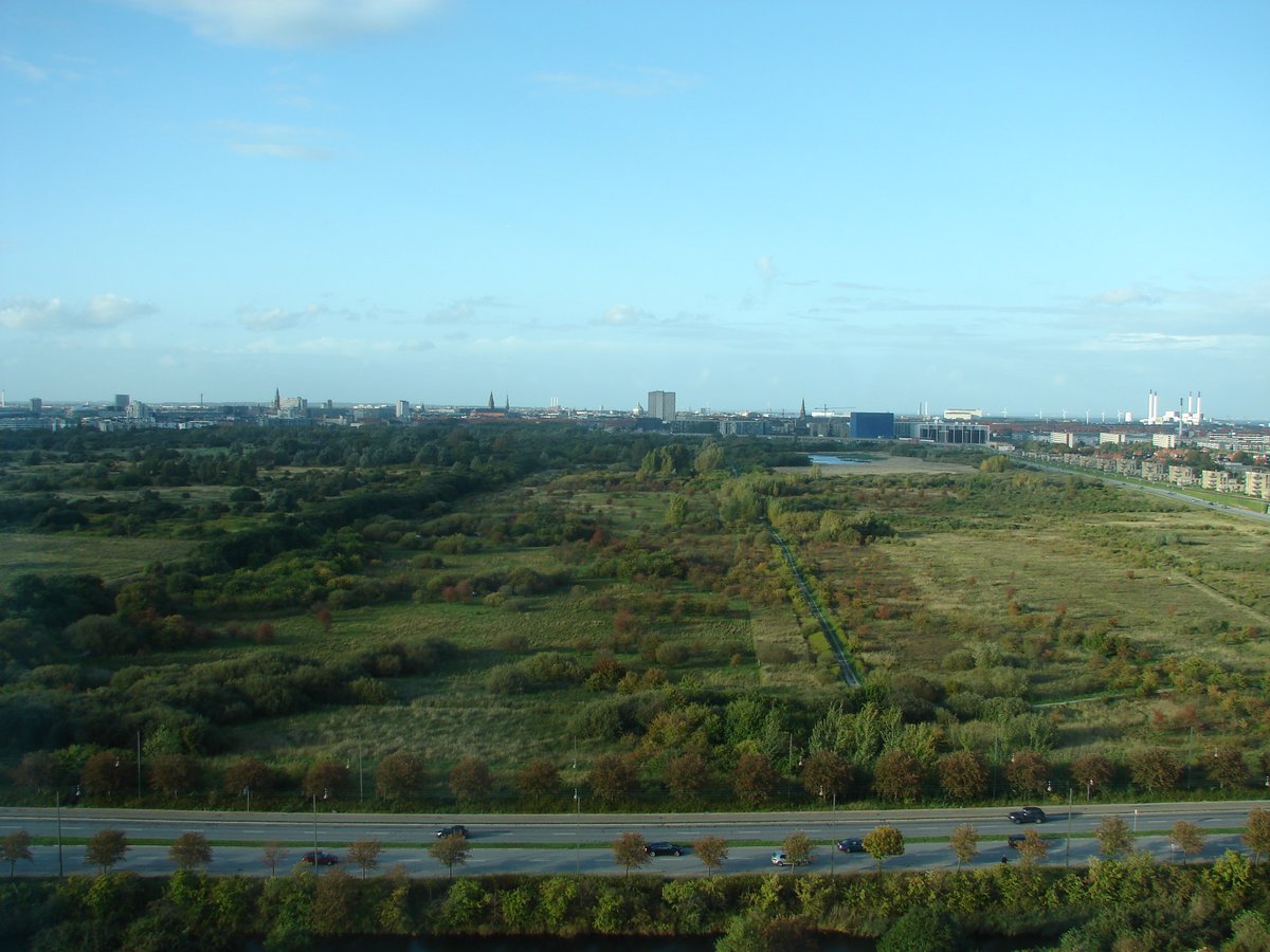 Amager Fælled nature reserve landscape in Amager near Copenhagen