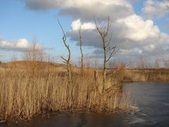 View of Amager Fælled natural landscape near Copenhagen with green fields and blue sky