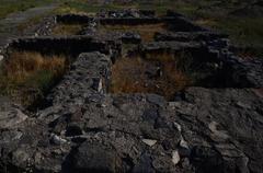 Teishebaina Karmir Blur archaeological site lower town excavations