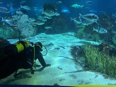 Aquarium Barcelona