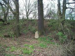 Kostelec