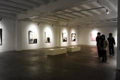 Portrait exhibition in 798 Art Zone with colorful paintings displayed in a bright gallery space