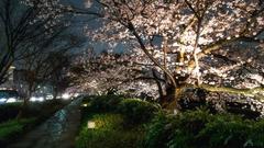 Higashiyama-Ku