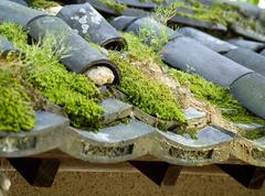 Tiles and moss-covered roof of a wall at Saidai-ji Buddhist temple in Nara Japan