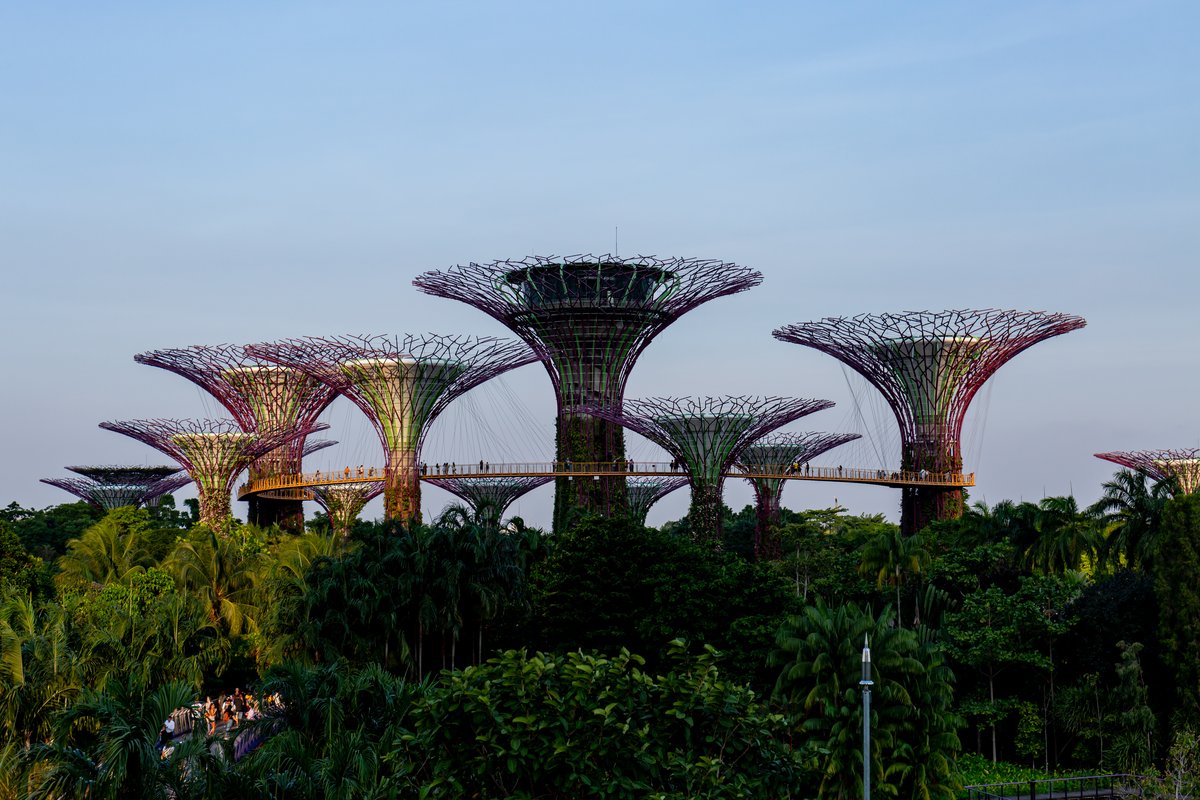 Supertree Grove at Gardens by the Bay during sunset with illuminated vertical gardens and futuristic tree-like structures
