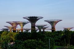 The Supertree Grove at Gardens by the Bay with towering vertical gardens under a cloudy sky