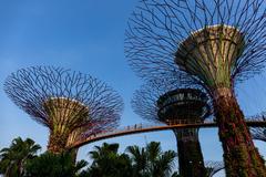 Supertree Grove at Gardens by the Bay with futuristic tree-like vertical gardens