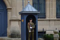 Guard of the Grand Ducal Palace in Luxembourg City armed with bayonet