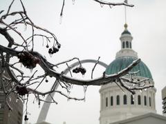 Ice drips from tree branches with the Old Courthouse and Gateway Arch in St. Louis in the background