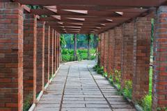 Walkway in Semmozhi Poonga botanical garden, Chennai with pathways and greenery