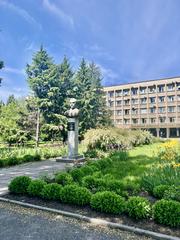 Flower beds with pink and red flowers in front of the main building of Poltava University of Economics and Trade