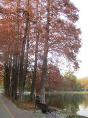 Lake Titan in Alexandru Ioan Cuza Park IOR Bucharest with calm water and green trees