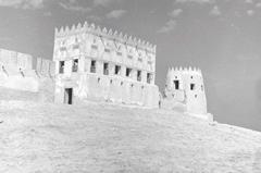 View of one of the towers of Darin Castle and Al-Fayhani Palace before their collapse