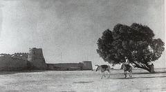 Historic Customs Castle of Qatif from 1947