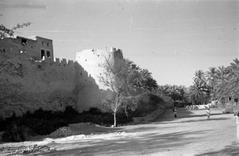 Qatif Castle